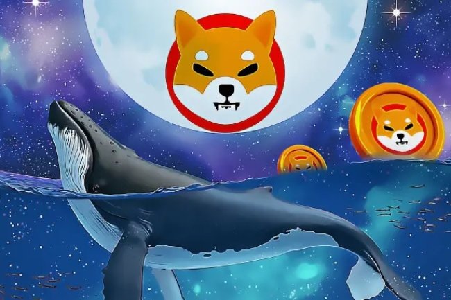 Wieloryby Shiba Inu kupują 11 trylionów coinów