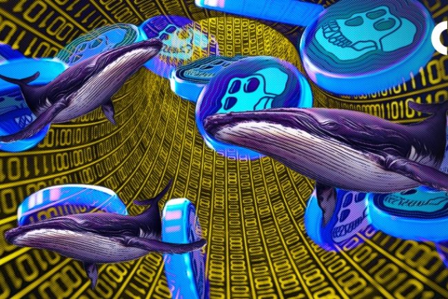 Wieloryby dokonują depozytów $APE