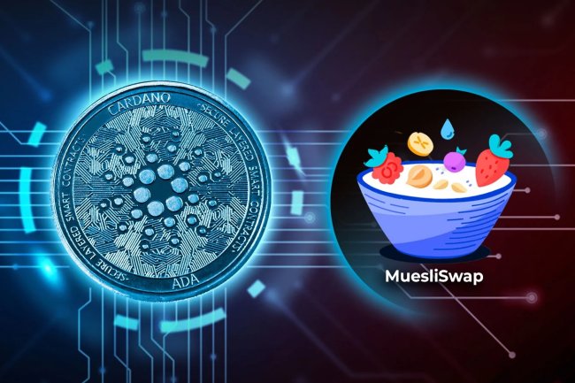 MuesliSwap na Cardano zwraca pieniądze użytkownikom