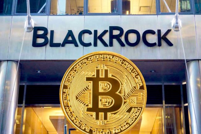 Czy kryptowaluty potrzebują wsparcia BlackRocka ?