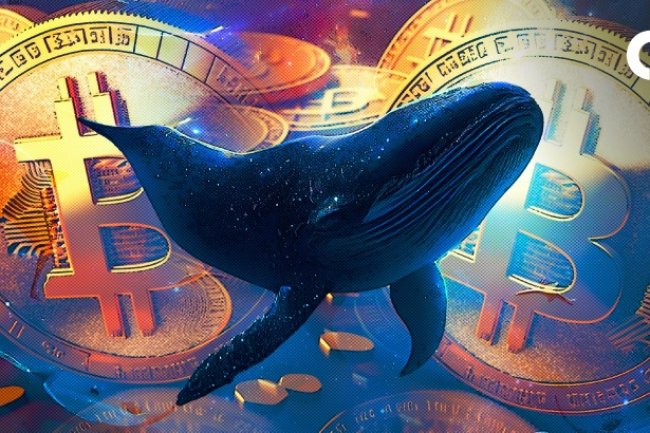 Potężna Przeprowadzka Wieloryba