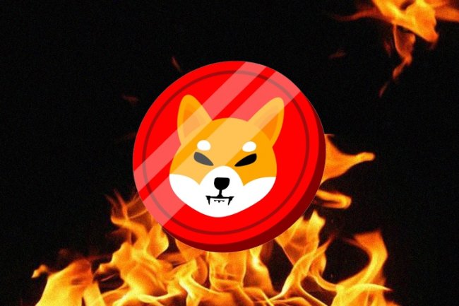 Spalanie SHIBy wzrosło  o 309%