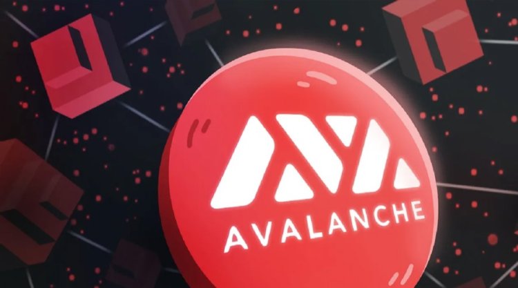 Avalanche Blockchain dane kwartalne