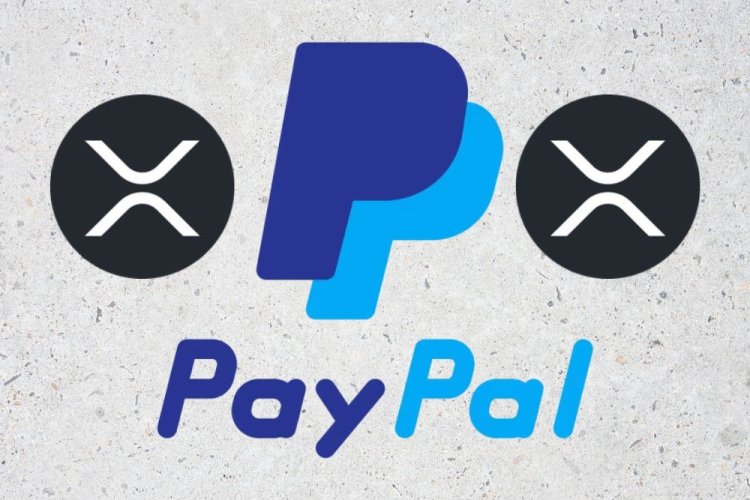 Plotki o Dodaniu XRP do PayPal