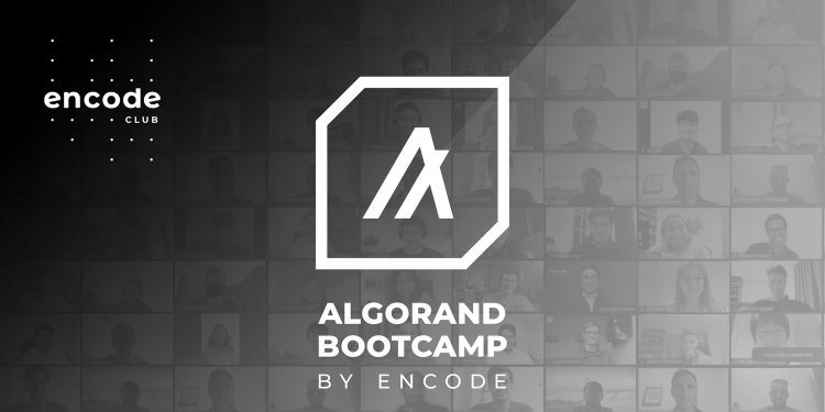 Algorand - Bootcamm od 11. do 14. września