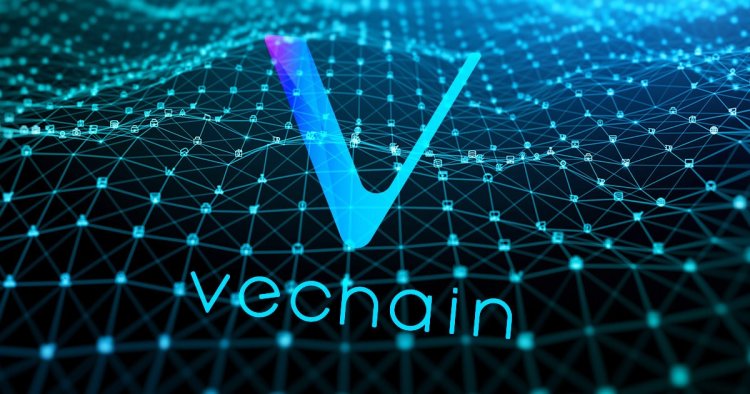 VeChain i współpraca w dziedzinie Sztucznej Inteligencji