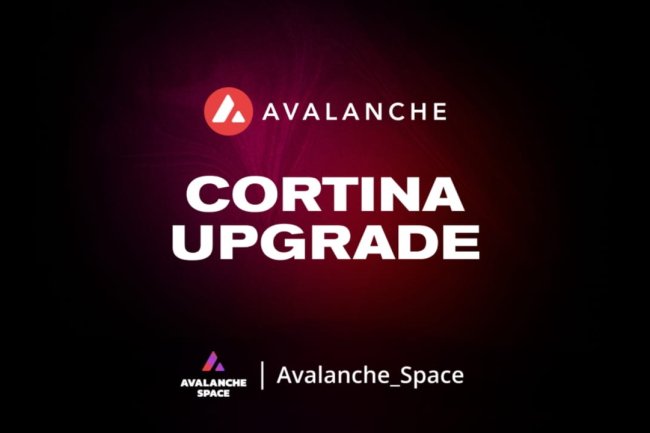 Avalanche wprowadza aktualizację Cortina 11