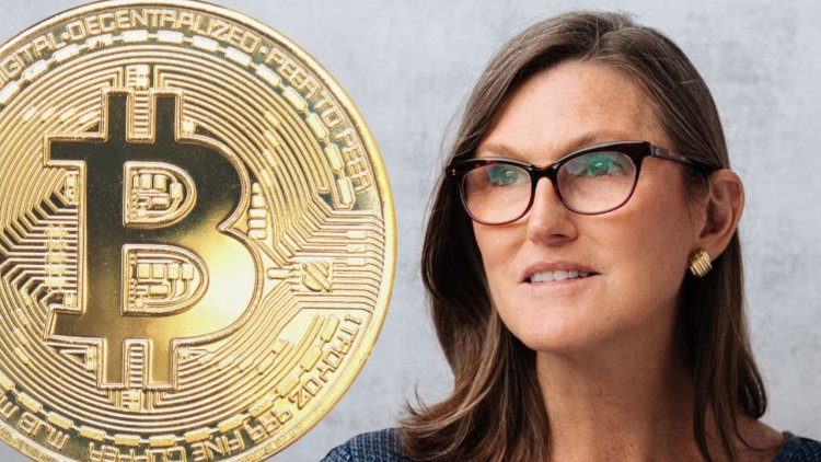 Cathie Wood  o Btc i Sztucznej Inteligencji