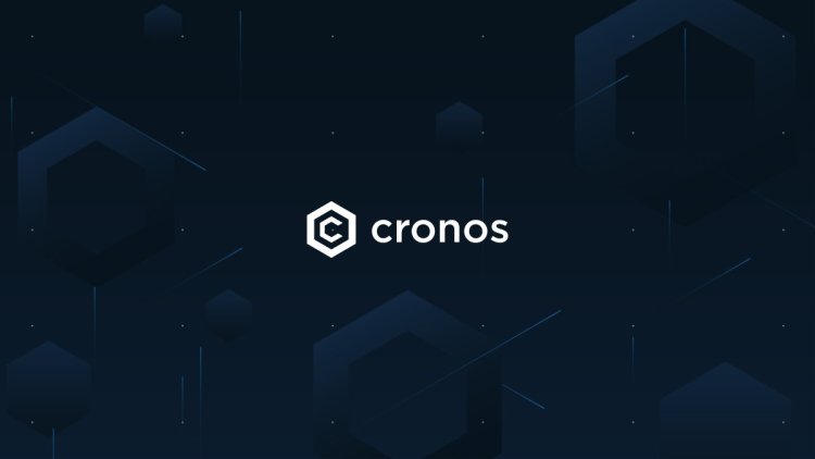 Cronos Labs: Poszukiwanie Startupów