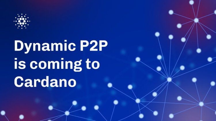 Cardano (ADA) -  Prace nad Funkcjonalnością P2P