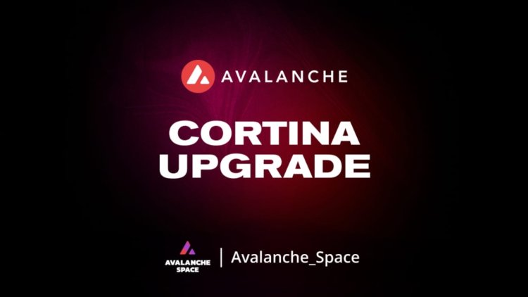 Avalanche wprowadza aktualizację Cortina 11