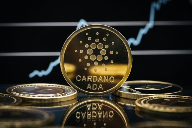 Cardano: Uruchomienie 146 Projektów