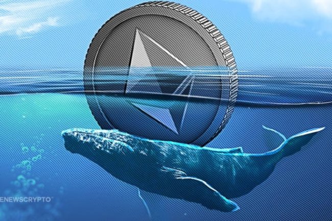 1/3 Zasobów Ethereum w Rękach Wielorybów