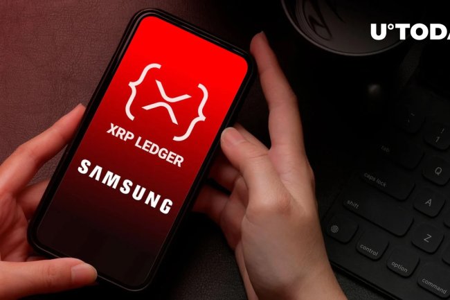 Ostrzeżenie od Xumm dla Użytkowników XRP