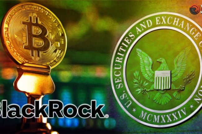 BlackRock Wpłaca 2,5 Miliona Dolarów do SEC