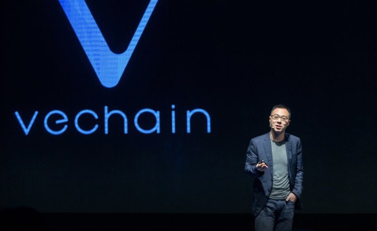 Wywiad z Sunny Lu z VeChain