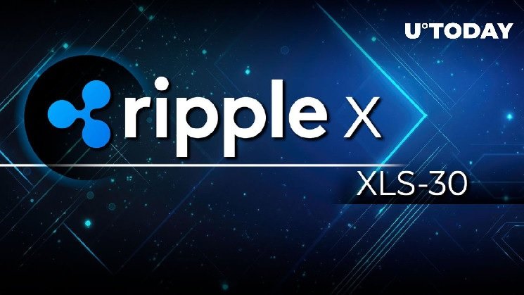 Ripple Ogłasza Sukces Testów XLS-30 AMM