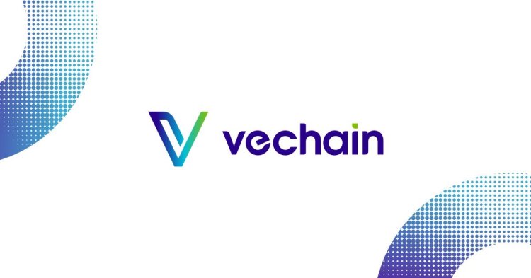 VeChain Raportuje Spadek Wartości  w II Kwartale