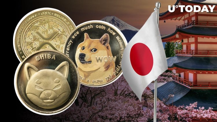 Shiba Inu i Dogecoin na Japońskiej Giełdzie BitTrade