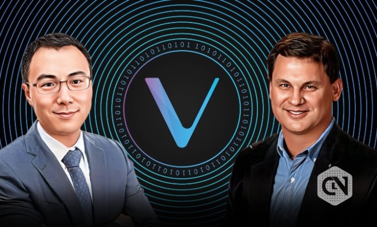 VeChain i BCG Przejście na Ścieżkę Klimatyczną