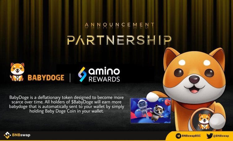 Baby Doge partnerstwo z Amino Rewards