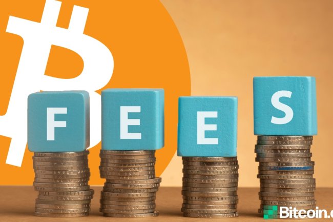 Wzrost Opłat Bitcoina na Fali Hype'u wokół ETF