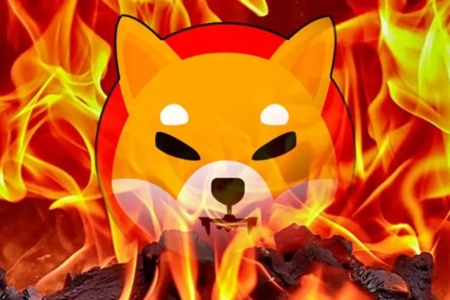 Miliony Shiba Inu Spalone, Cena SHIB Spada