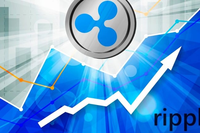 David Schwartz o  Ripple IPO