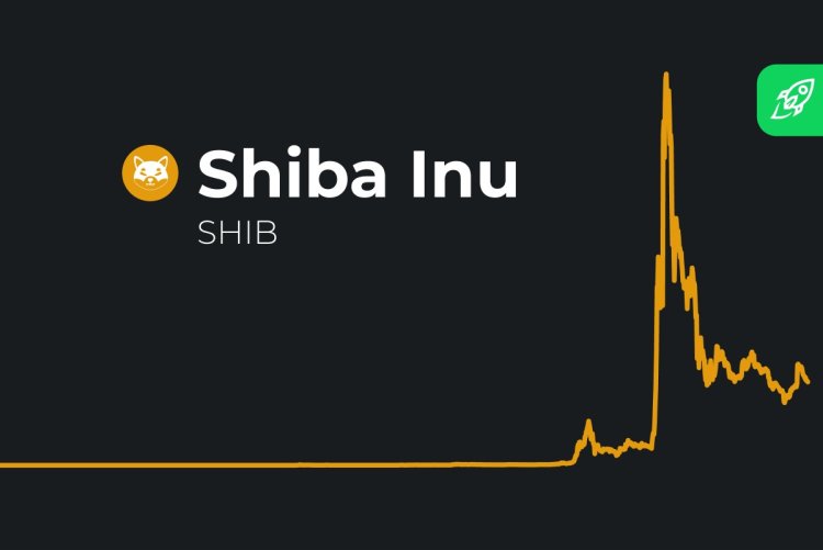 Shiba Inu (SHIB) Zanotował Wzrost o 41% w Transakcjach