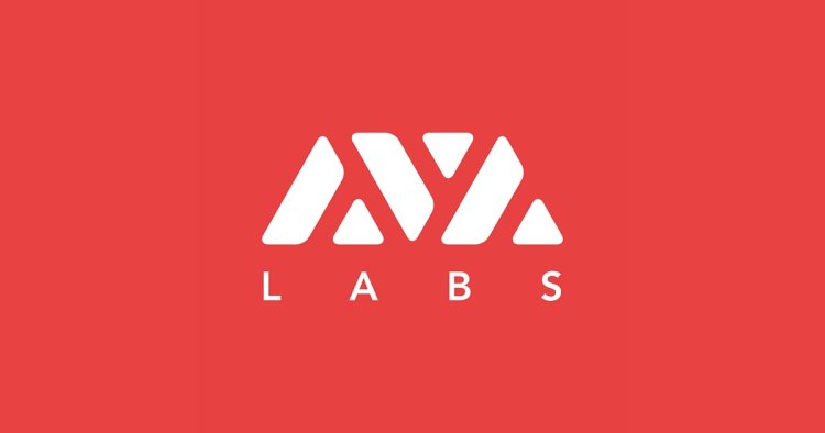 Ava Labs redukuje zatrudnienie o 12%