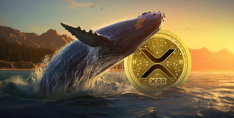 Wieloryb Przesyła Miliony XRP na Coinbase