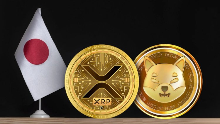 Pożyczki XRP i Shiba Inu na BitTrade