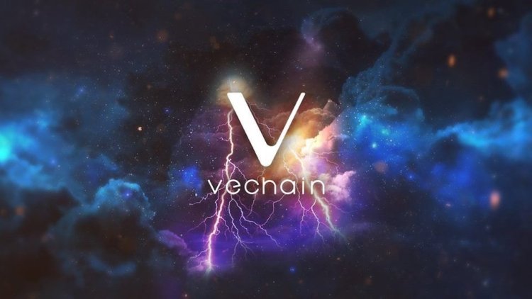 VeChain : Ponad 160 000 Nowych Adresów