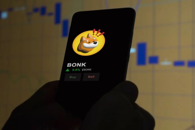 BONK na Coinbase: Skok o ponad  50%