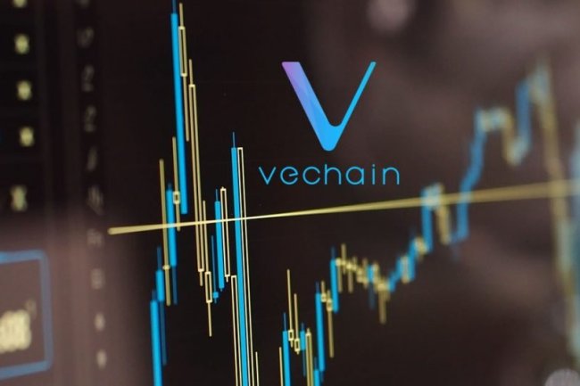 Ożywienie na VeChain