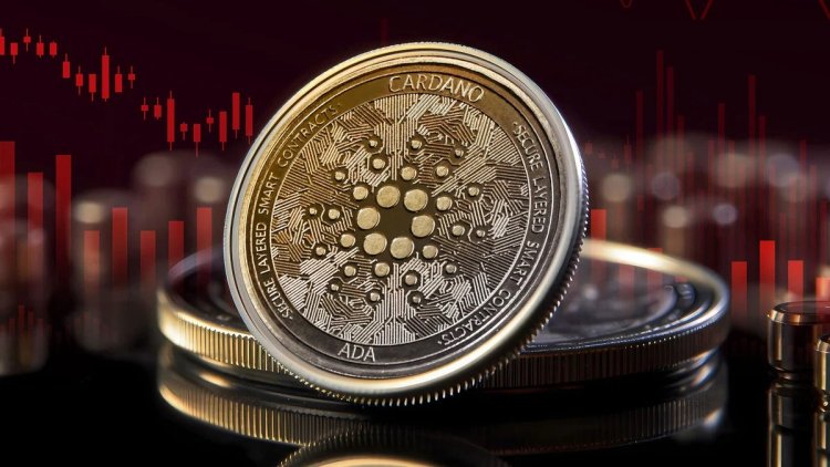 Cardano (ADA): 65% Posiadaczy na Stratach