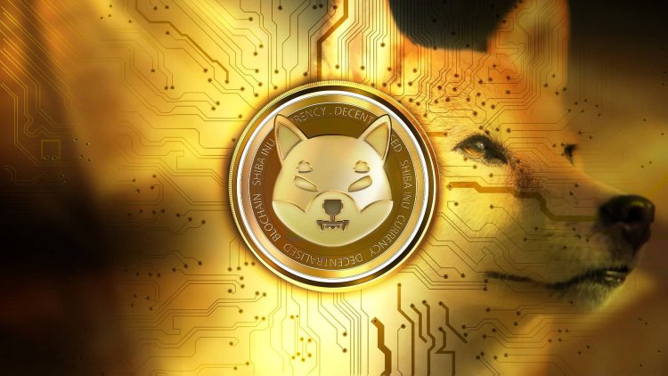 Coincheck Wprowadza Shiba Inu  Japoński Rynek