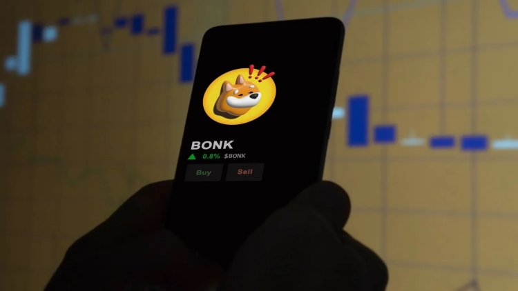 BONK na Coinbase: Skok o ponad  50%