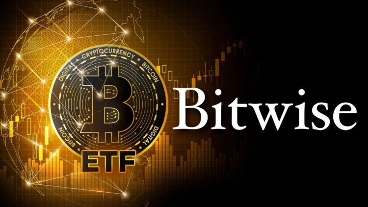 Bitwise stawia na reklamę Spot Bitcoin ETF