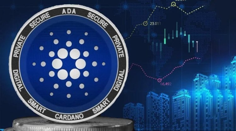 ADA Cardano: Droga do 1 USD w 2024