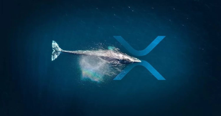Wieloryb Wysyła 20 Milionów XRP na Giełdę Bybit