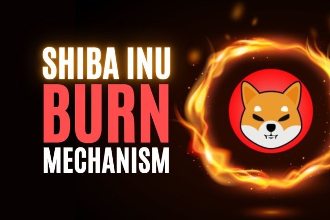 76 Miliardów Shiba Inu Spalone w 2023 roku