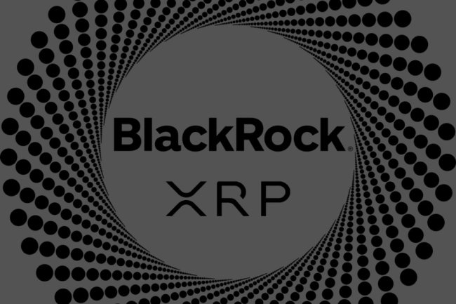 BlackRock  Brak Planów  Spot XRP ETF