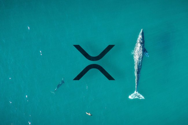 Przeniesienie 515 Milionów XRP