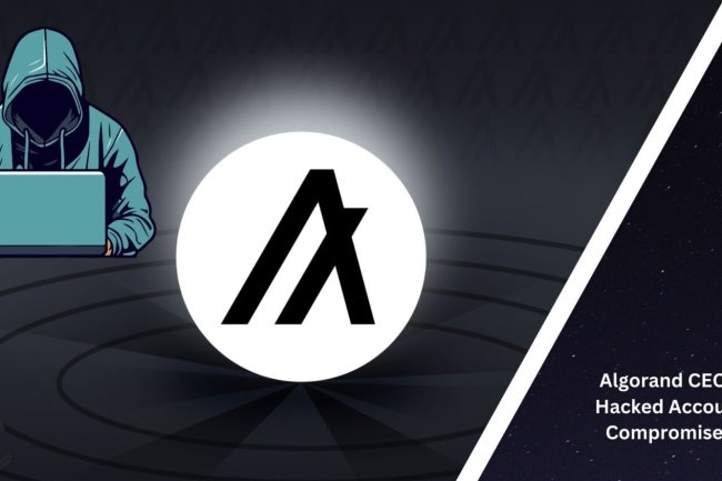 Atak hakerski na Konto X CEO Algorand