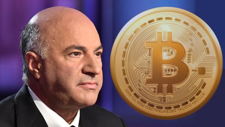 Kevin O'Leary Przewiduje Zainteresowanie Instytucji