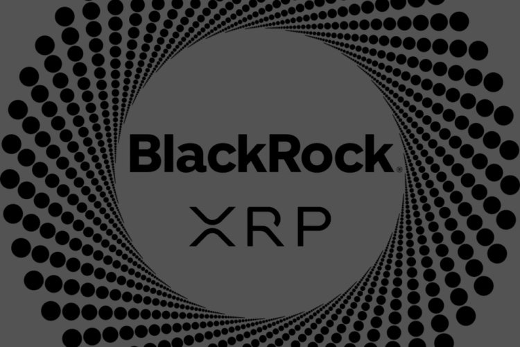 BlackRock  Brak Planów  Spot XRP ETF