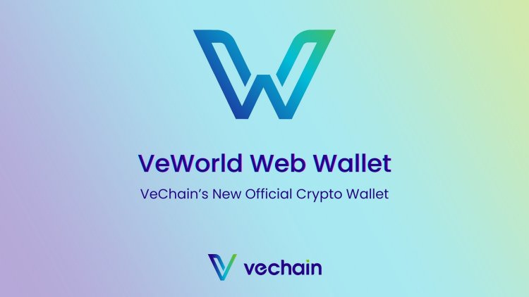 Odnawianie programu Grants 2.0 przez VeChain (VET)