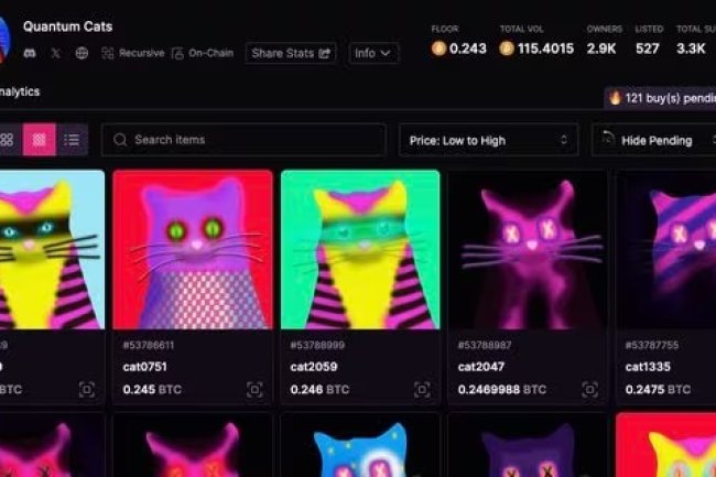 Taproot Wizards sprzedawane po dwukrotnie wyższej cenie