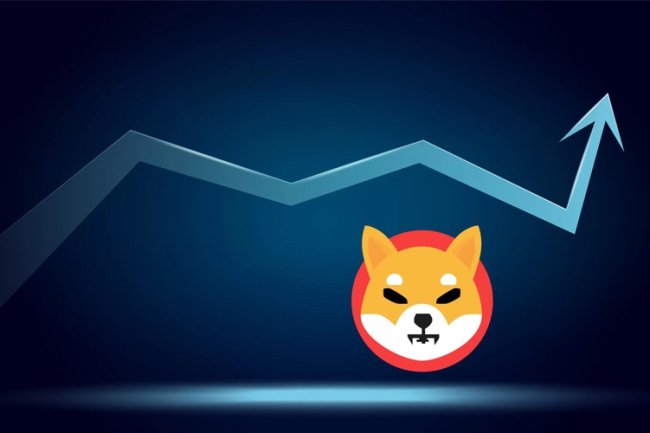 Shiba Inu  Skok o 300% w Aktywności